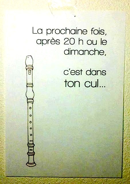 Votre parcours musical. Voisins_flute_dtc