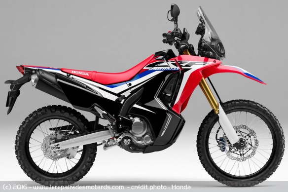 Trail Honda CRF 250 Rally Trail-honda-crf-250-rally-profil