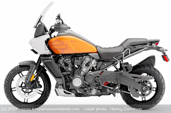 Pan America - Page 2 Trail-harley-davidson-pan-america-1250-special-orange