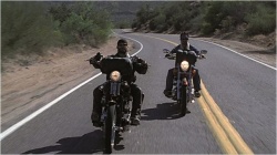 Film moto : Born to ride Born-ride-harley-davidson