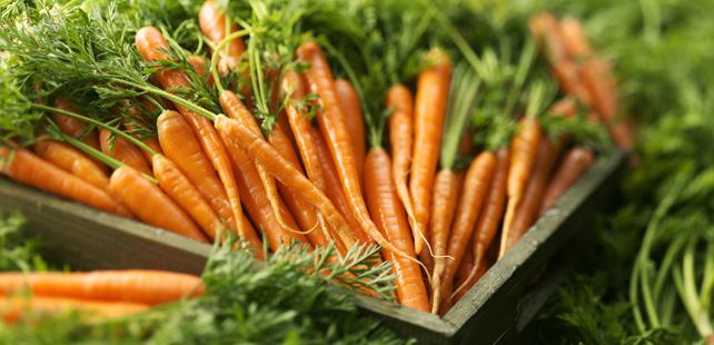 Le saviez-vous ? Vous pouvez devenir accros aux carottes  Carotte