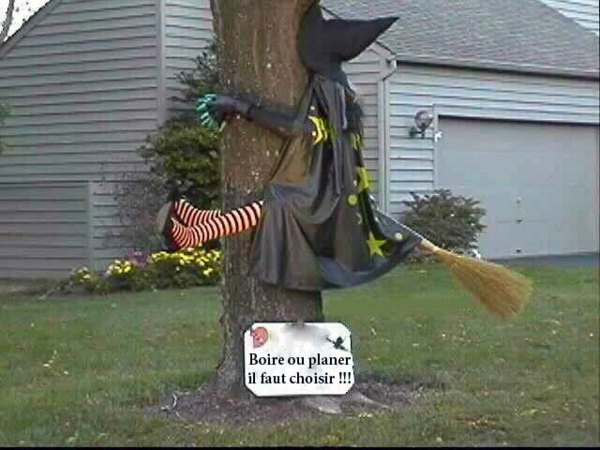 blaguounette du jour - Page 8 Image%20drole%20halloween