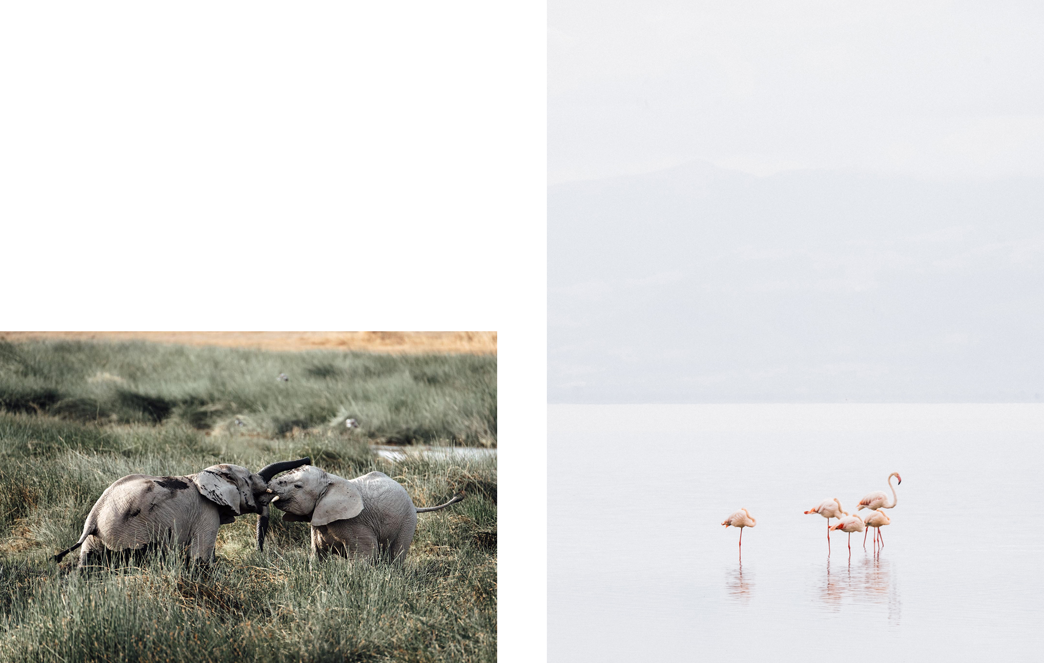 Un safari photo sur les plaines infinies de Tanzanie ! Par Charly Derouet Charly-derouet-lesothers-safari-11