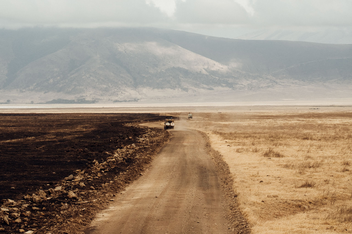 Un safari photo sur les plaines infinies de Tanzanie ! Par Charly Derouet Charly-derouet-lesothers-safari-14