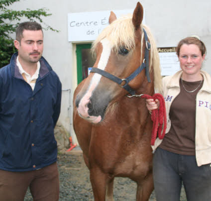 Embauche au centre equestre 1026901_8034488-brascheval-20100823-c136b