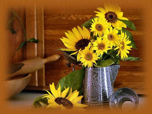 Diversas Mensagens - Página 3 Ar-sunflower-mainimage
