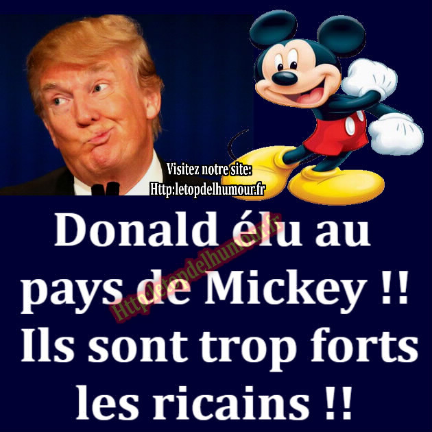 Humour en image du Forum Passion-Harley  ... - Page 24 Donald-trump-mickey-americain-pays-fort-humour-blague