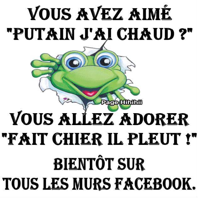 images humour  - Page 24 Aimer-chaud-pluie-grenouille-adorer-Facebook-humour-drole-