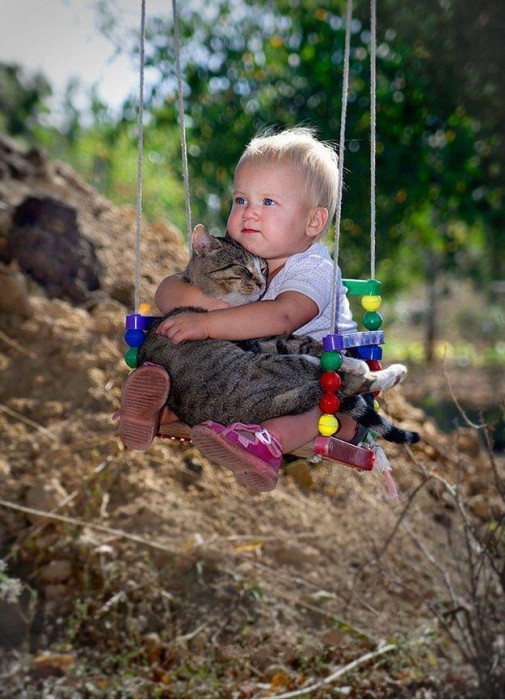 chats - Les chats sont des êtres au grand coeur  01chat-or-505x700