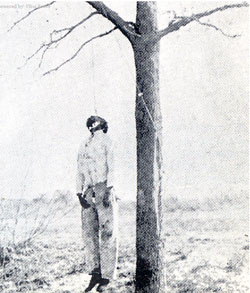 Leyendas de Árboles Malditos Arbol-ahorcados-mexico