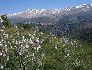 جبل لبنان في الصيف والشتاء Lebanon_nature2