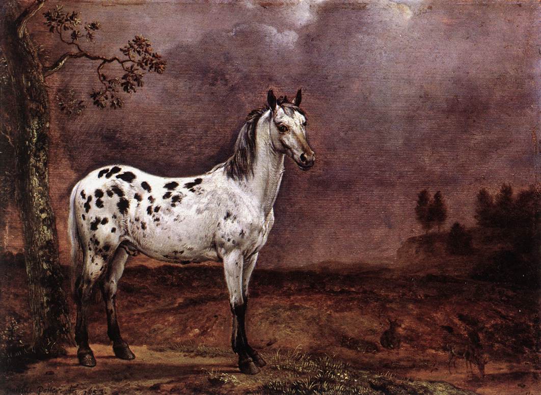 Running moon 15408-the-spotted-horse-paulus-potter