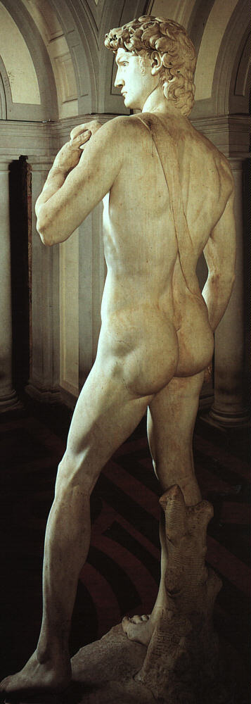 Cazzeggio...(tutto quello che volete dire su Marco Mengoni e non riuscite a tacere) - Pagina 32 13969-david-rear-view-michelangelo-buonarroti