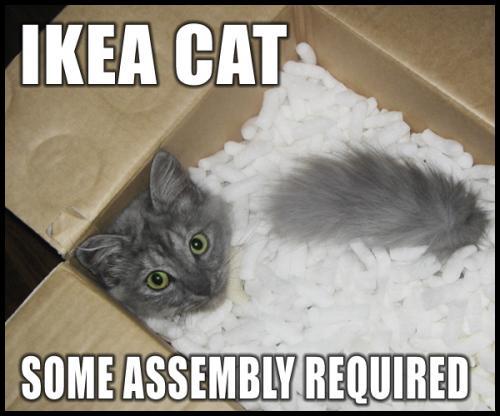 Funny Pictures Ikea-cat-some-assembly-required