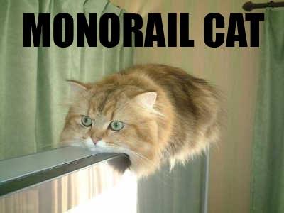 Funny Pictures Monorailcat