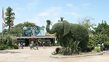 qui pour mon 1er matche ? 800px-San_Diego_Zoo_entrance_elephant