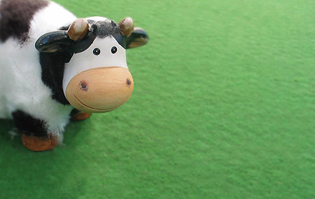 pets de vache Furycow