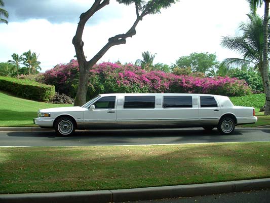 Look-A-Like's Main_limo_b