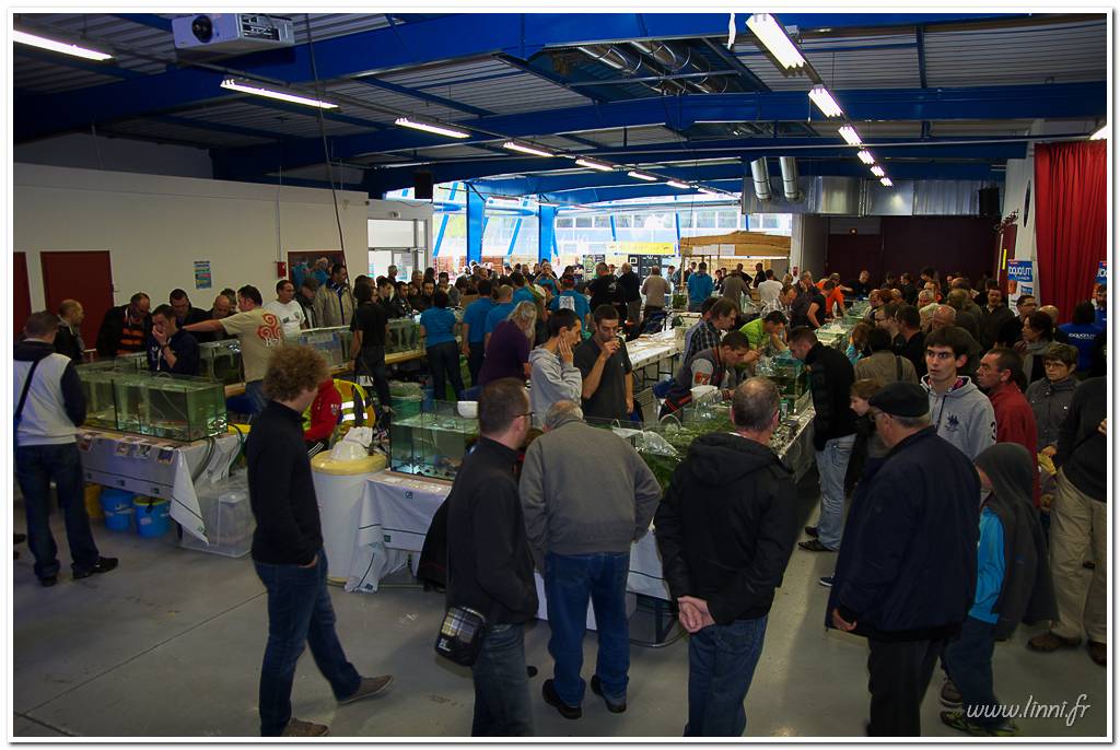 Bourse aquariophile Nantaise le 27 octobre 2013, photos Bourse%20aqua44%202013%2055