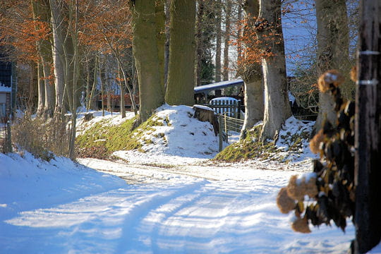 La france sous la neige! Lintot-seine-maritime-533434