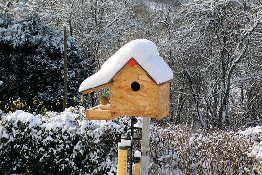 La france sous la neige! Morvan-533330