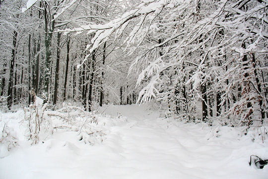 La france sous la neige! Pas-de-calais-533313