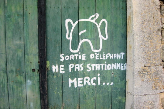 Dlire sur la signalisation en tout genre... - Page 25 Sortie-d-elephant-562389