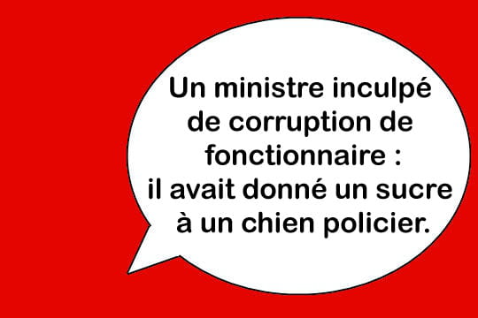 pas facile la politique animal Corruption-337188