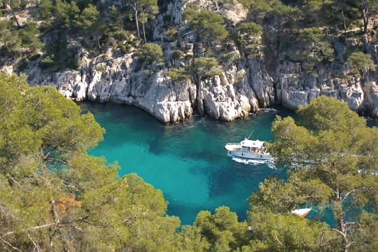 Balade dans les calanques Calanque-port-pin-378309