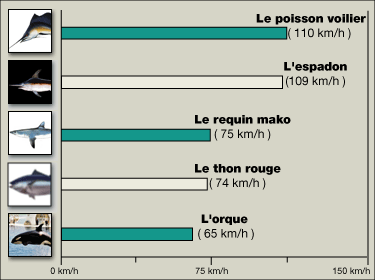 Les Records chez les animaux Graphique