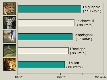 Les Records chez les animaux Graphique