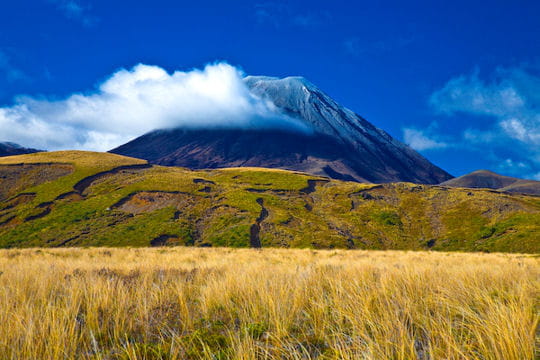 La Nouvelle-Zélande, l'ode à la nature!!! Mont-tongariro-338472