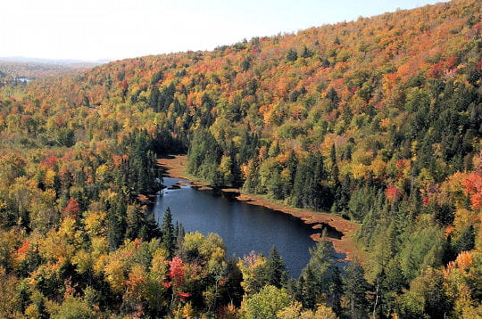 Prenez un bol d'air dans les forêts du monde!!!! Foret-lac-aux-sables-297067