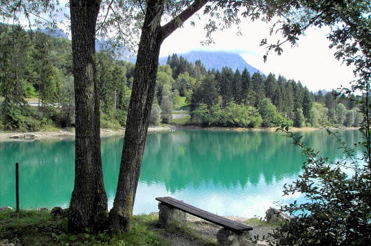 Prenez un bol d'air dans les forêts du monde!!!! Foret-lac-barcis-italie-297081