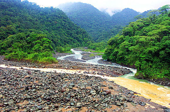 Prenez un bol d'air dans les forêts du monde!!!! Foret-san-jose-costa-rica-297107