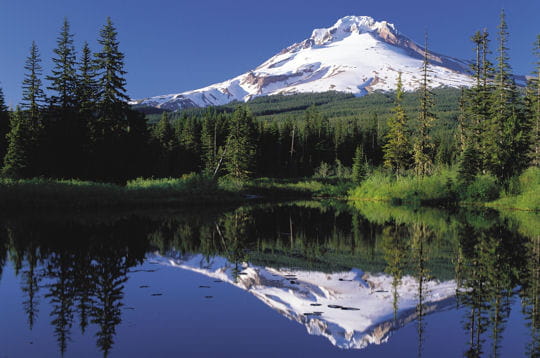 Prenez un bol d'air dans les forêts du monde!!!! Mount-hood-national-forest-etats-unis-297093