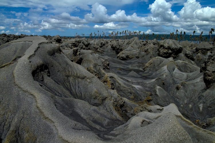 La lave, un terrain pas si stérile!! Lave-terrain-pas-si-sterile-1264662