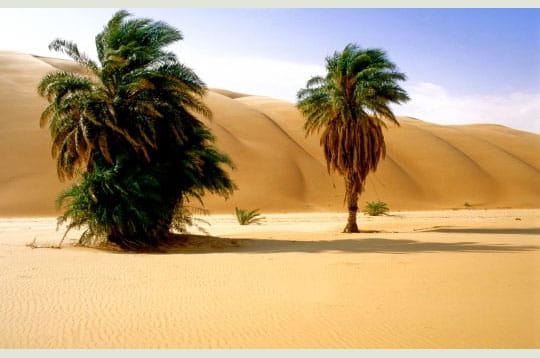 اجمل الصحارى في العالم ...(شاهد الصور البديعة) Desert-mauritanie-mauritanie-252420