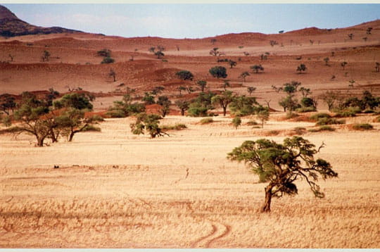 اجمل الصحارى في العالم ...(شاهد الصور البديعة) Desert-namib-252424