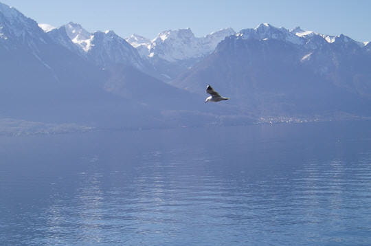 Les plus beaux lacs du monde! Lac-leman-248260