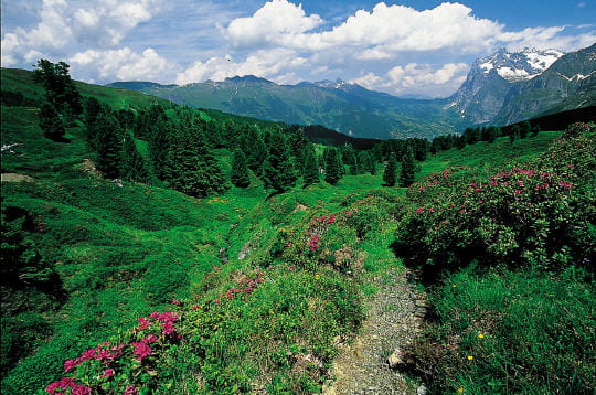 صور مناظر خلابة Jungfrau-suisse-228086