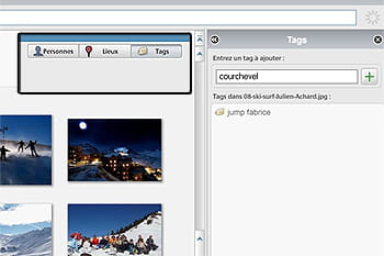 Photo Numérique & Archivage : Astuces Picasa Mots-cles-recherche-725133