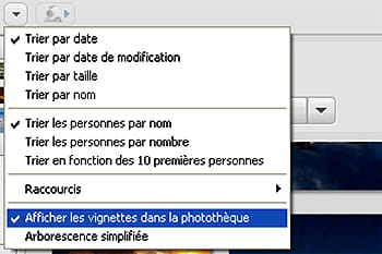 Photo Numérique & Archivage : Astuces Picasa Photos-vignette-725174