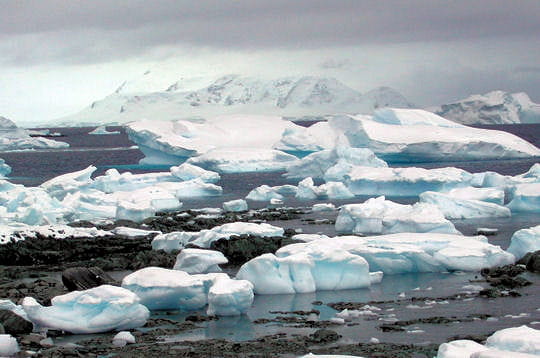 Science > Environnement >  Fonte des glaces Icebergs-419495