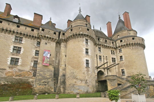 Château de la loire =) Chateau-langeais-350657