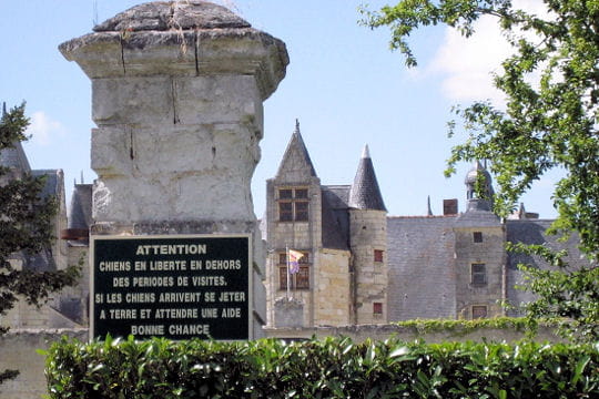 Châteaux .... Chateau-boumois-504878