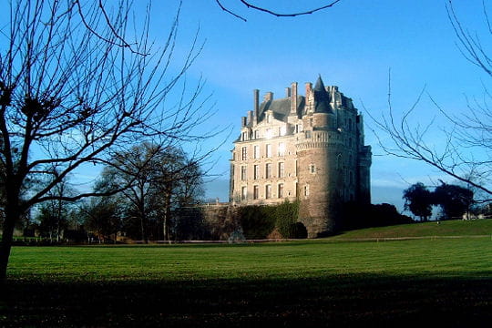 Châteaux .... Chateau-brissac-quince-504520