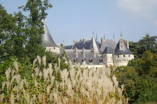 Châteaux .... Chateau-chaumont-sur-loire-504571