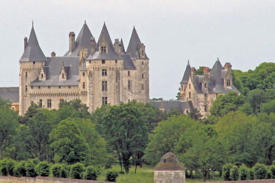 Châteaux .... Chateau-coudray-montpensier-504834