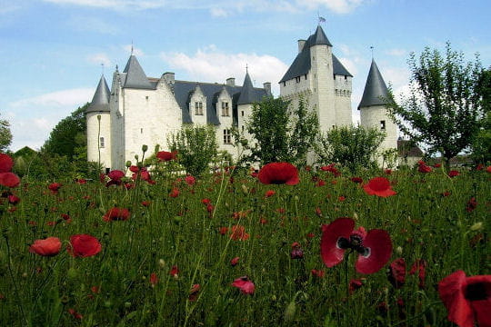 Châteaux .... Chateau-rivau-504547